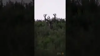 Septiembre, te estaba echando de menos...