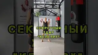 🔥Удар Кенгуру | Kangaroo Punch