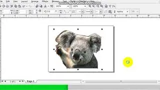 How to export image without background in Coreldraw X3
