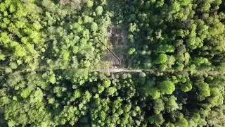 Полёт над заброшенной в/ч 62841 (Московская область, деревня Фенино)