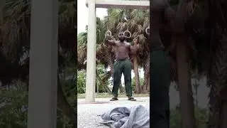 ring dips