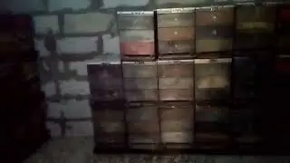 6 декабря на пасеке.