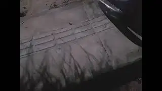 Gato Marcos lesionado na pata, e agora??!!💚🤔🦉