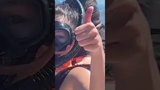 Would you swim with the BIGGEST fish in the sea?