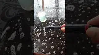How to make water bubbel at home #bubble#shorts #simple science experiment #easy science experiment