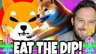 Shiba Inu Coin | SHIB Whales Eat The Dip! Dogeverse Major Website Update!
