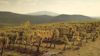 Wines of Hungary - Tokaj Wine Region