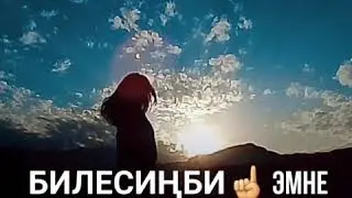 27 сентября 2019 г.