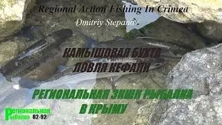 МОРСКАЯ РЫБАЛКА В КРЫМУ,КАМЫШОВАЯ БУХТА,КЕФАЛЬ
