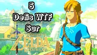 Je réalise vos défis wtf sur #zeldabreathofthewild