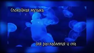 Спокойная музыка для расслабления и сна. #музыкадлядуши #релакс #сон #море #sea