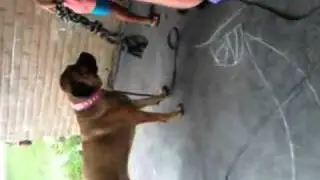 Girl vs Dog