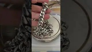 Панцирь серебряный