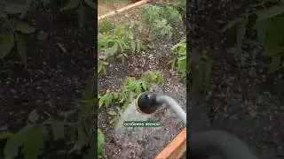 Минусы открытой почвы. 