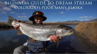 Beginner's Guide to Colorado's Dream Stream | 4K Video Fly Fishing | Colorado's Poor Man's Alaska