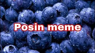 Top 5 posin [ Meme]