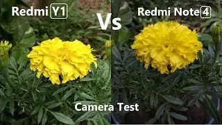 Redmi Note 4 Vs Redmi Y1 Camera Comparison