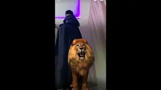 Muslim hijab queen tango live video tango live chat imo video tango live video tango live video 