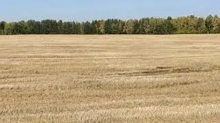 Журавли на Рождественской горе много 2023