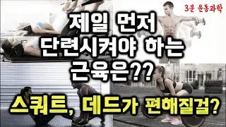 운동할 때 가장 먼저 단련시켜야 하는 근육은? 스쿼트, 데드리프트가 편해질걸??