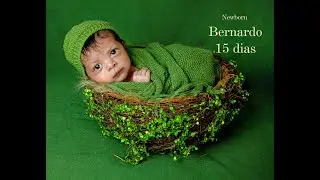 Newborn Bernardo 15 dias
