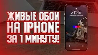 Как установить живые обои на iPhone? Любое видео на обои Айфона!