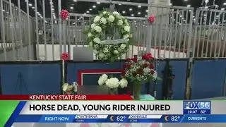 9-year-old rider injured after horse dies during World's Championship Horse Show
