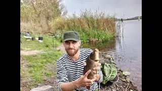 Страхолісся...