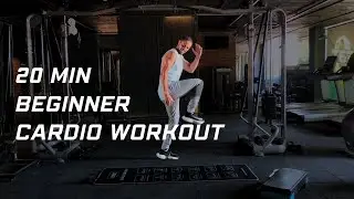 Lail Organization 20 MIN BEGINNER CARDIO WORKOUT  - Fat Burning - No Equipment