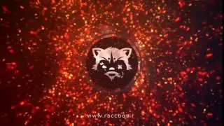 Raccoon Streetwear