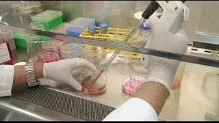 Le coronavirus MERS en Egypte