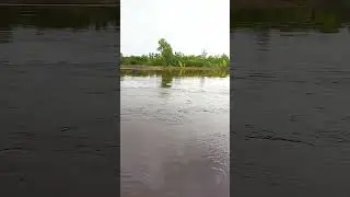 Аugust white river💧#river#nature#shorts #short #река#природа#башкортстан #белая#вода#шумводы