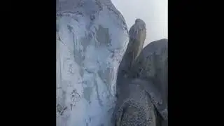 Эльгинский ангел
