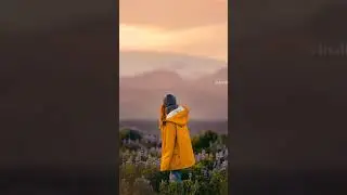 Free Preset 🔥 | Lightroom (lreditor.dng) Preset 