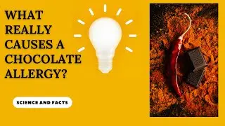 What Really Causes a Chocolate Allergy?