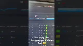 That daily post Google algo update feel 😏