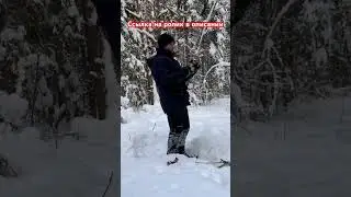 Как НЕ выжить в зимнем лесу #shorts