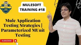 #18: Mule Application Testing Strategies | Parameterized MUnit Testing