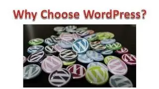 Why Choose WordPress