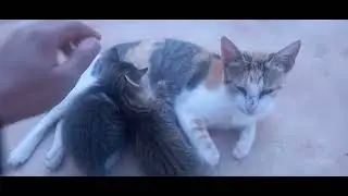 حنان الأم سبحان الله 😍🥺💜