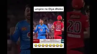Rashid khan funny reaction after taking wicket. #shorts #cricket