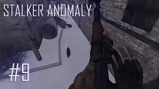 ( Tehlikeli Bölge ) Stalker Anomaly Bölüm 9