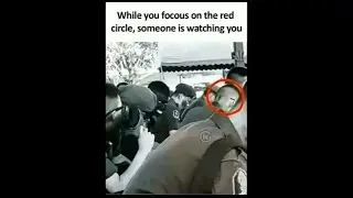 Funny | Memes #shorts #youtubeshorts #memes #funnymemes