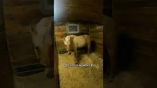 Неожиданная реакция на рептух😵‍💫 