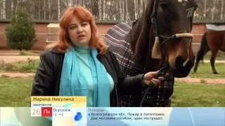 Clip   Первый канал 20121126 080129   Segment100 12 20 503 00 12 42 578