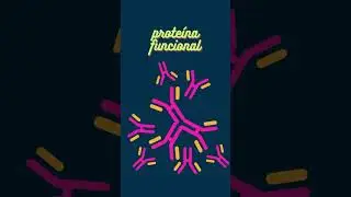 ¿Cómo FUNCIONAN los RIBOSOMAS? 🏭 Sintetizar PROTEÍNAS 🔴 #shorts