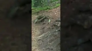 Little green worm floating in the air, 23-Aug-2024