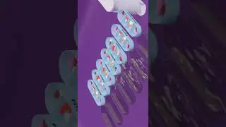 Контейнер для таблеток НЕДЕЛЬКА, BRADEX