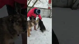 Попачёс