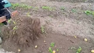 Простейшая картофелекопалка к минитрактору.